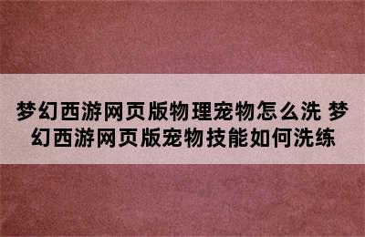 梦幻西游网页版物理宠物怎么洗 梦幻西游网页版宠物技能如何洗练